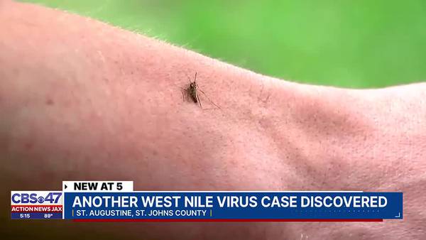 ‘Most people are asymptomatic:’ 1 case of West Nile Virus in Duval, 1 case in St. Johns