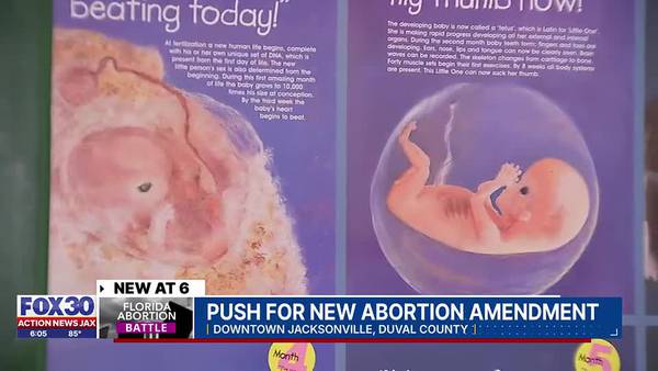 Push for new abortion amendment