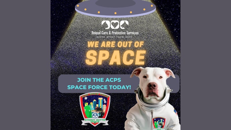 Animal Care & Protective Services Space Force