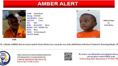 FLORIDA AMBER ALERT: 2-year-old boy from St. Petersburg missing after his mother was found dead