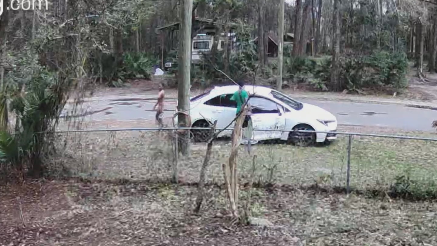Caught on camera: Man, woman abandon dog in Jacksonville's Garden City neighborhood.