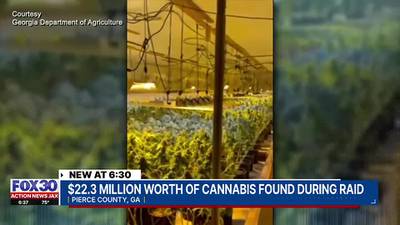 $22.3M worth of marijuana found at indoor grow operation in Pierce County, Georgia officials say