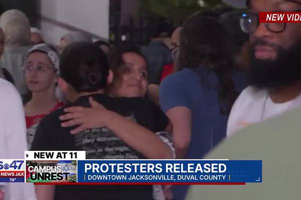 Protesters released