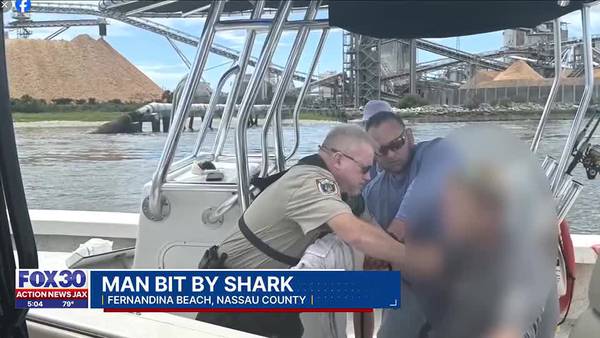 Man taken to hospital in critical condition after shark bite at Fernandina Beach