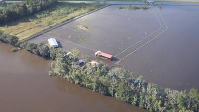 Photos: Hurricane Milton aftermath in St. Johns County 