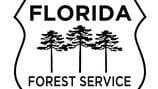 JFRD, FFS working on brush fire on Jacksonville’s Southside