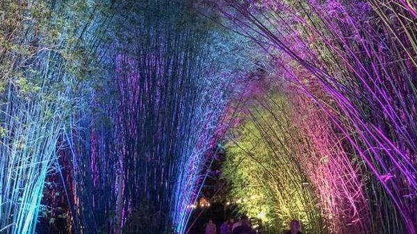 Have you been out to the Jacksonville Zoo and Gardens for IllumiNights yet?