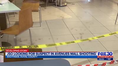 Search continues for suspect who opened fire outside The Avenues mall