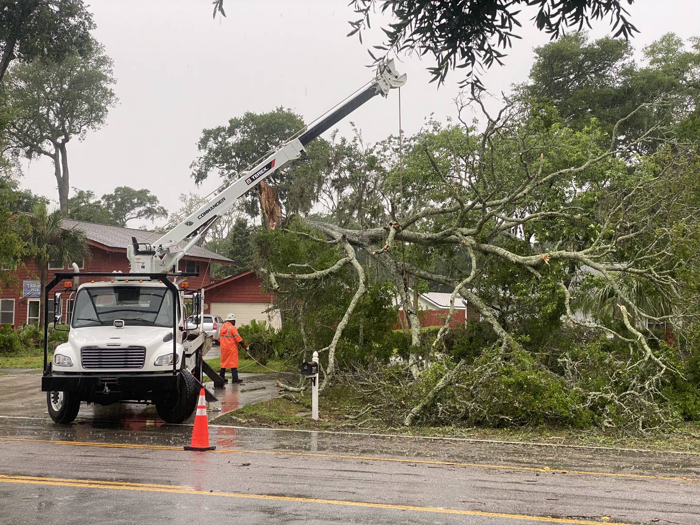 Tree down at Penman Road and Seagate Avenue in Jacksonville Beach