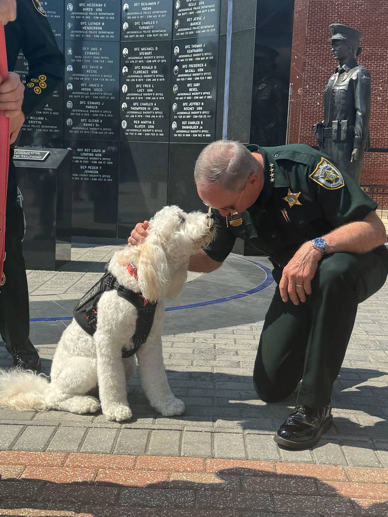 Sheriff Bill Leeper takes a knee to thank a pup in support of Mental Health Awareness Month.