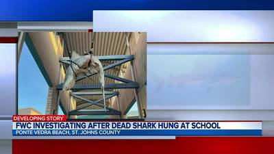 Dead shark found hanging at Ponte Vedra High School
