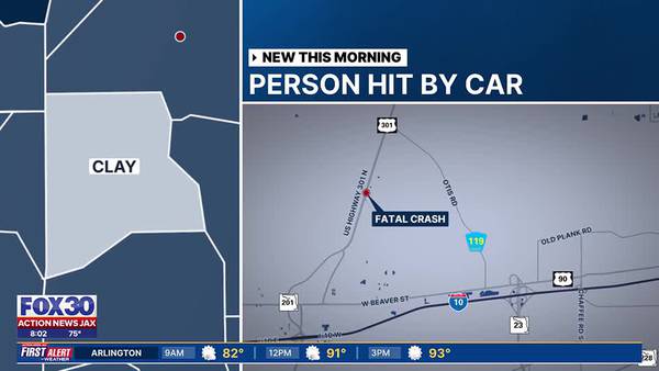 Pedestrian hit and killed on U.S. 301 in Clay County, officials say