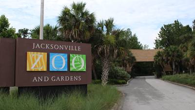 Jacksonville Zoo looking for teen volunteers in its ZooTeens! program