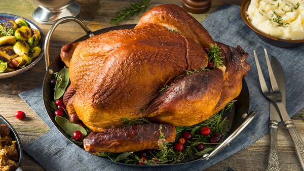 Thanksgiving basics: How to cook a turkey