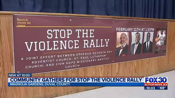 Community gathers for Stop The Violence Rally