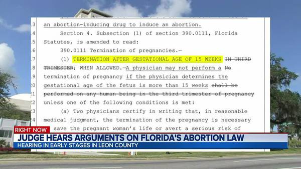 Judge hears arguments on Florida's abortion law