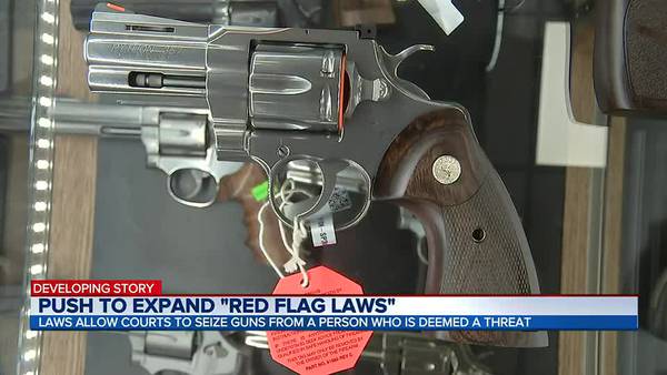Push to expand "Red Flag Laws"