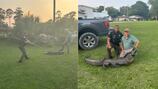 Georgia police officer helps trapper capture, remove gator from Brunswick yard