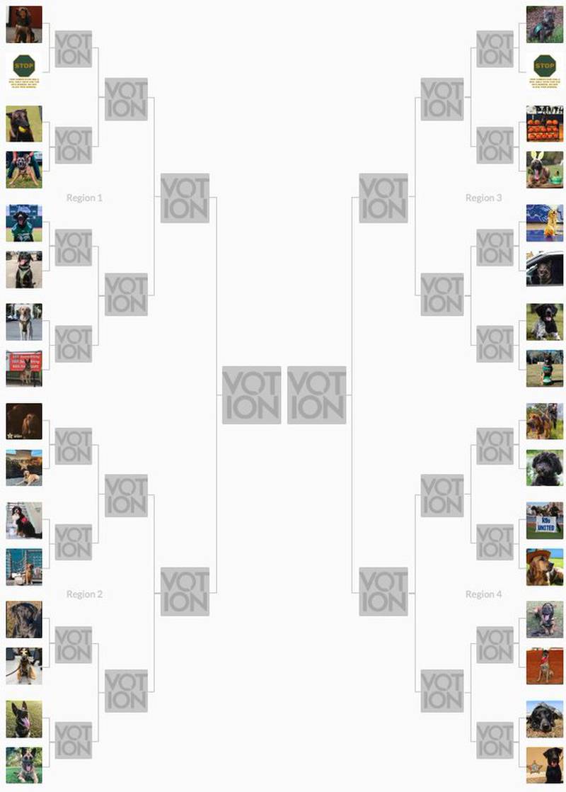 The bracket for Florida's K9 March Madness.