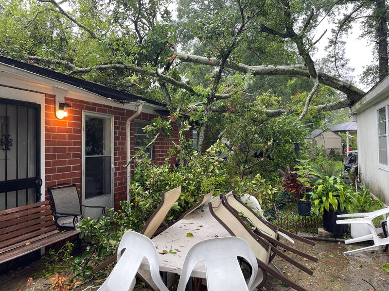 Storm damage from Debby shows a tree down on top of a house in Ribault.