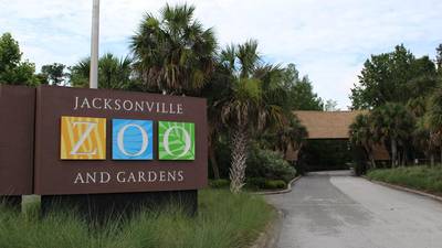 Jacksonville Zoo and Gardens helping animals, people beat the heat on $5 admission day