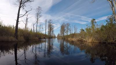 Could titanium dioxide mining impact the Okefenokee Swamp? Here’s what we’ve learned