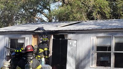 Clay County Fire Rescue saved three dogs from burning house in Keystone Heights