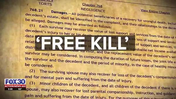 Investigates: Repealing Florida's 'Free Kill' law