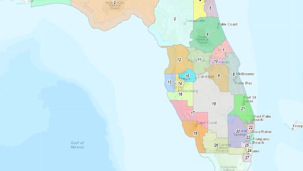 Florida Supreme Court refuses to speed up challenge to North Florida redistricting plan