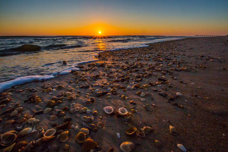 If you're into shelling then there's no better place to visit then the beaches of Anastasia State Park in St. Augustine.