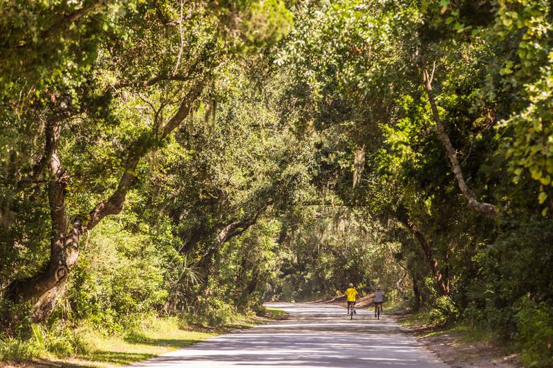 Pick one of many trails to explore in Amelia Island. The beauty is endless.