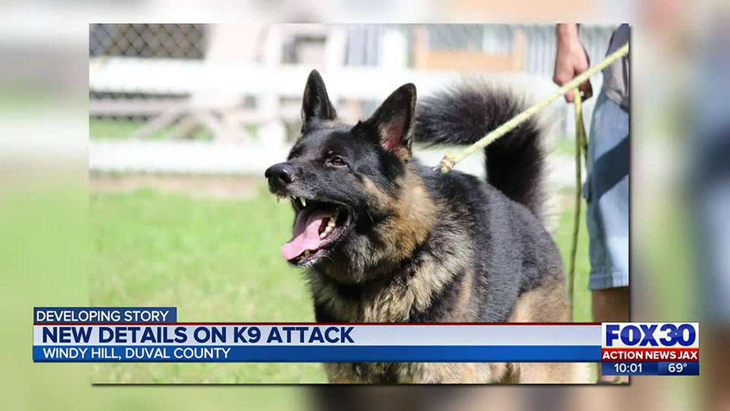 Rescue dog from Ukraine becomes Fort Myers police's newest K9 - WINK News