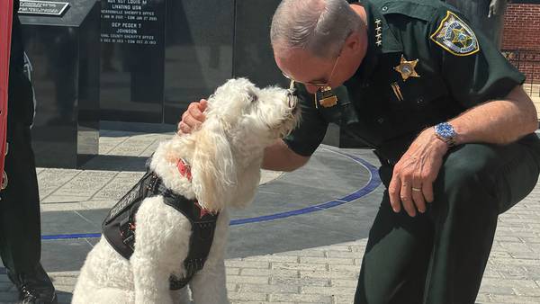 Emotional support dogs honored by multiple agencies in Jacksonville