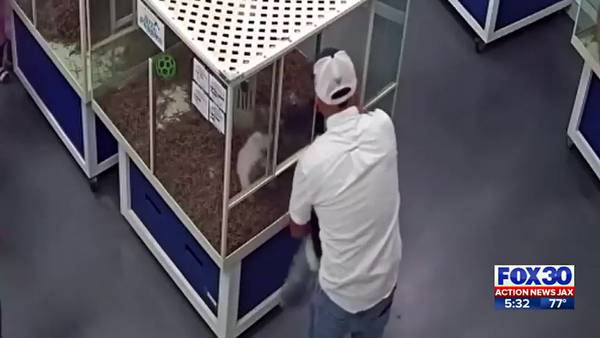 CAUGHT ON CAMERA: Two men accused of stealing puppy from pet store in Orange Park Mall