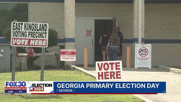 Georgia Primary Election Day