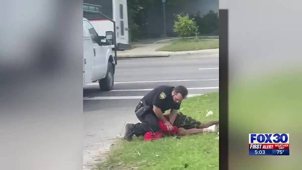 Action News Jax asks law and safety expert about excessive force in viral Facebook video