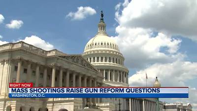 Mass shootings raise gun reform questions
