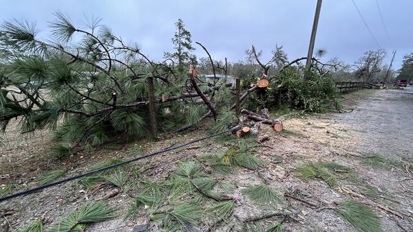 ‘It was quite intense:’ Neighbors in West Jacksonville start the cleanup process after the storm