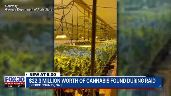 $22.3M worth of marijuana found at indoor grow operation in Pierce County, Georgia officials say