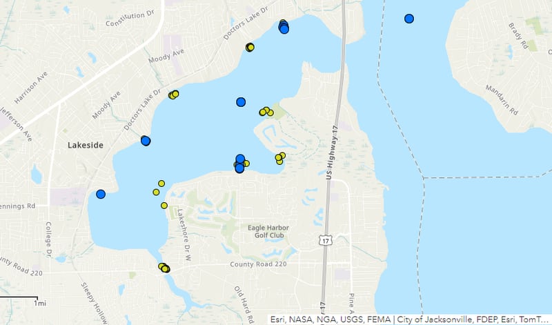 DOH-Clay has issued a blue-green algae alert for Doctors Lake-Magnolia Road.