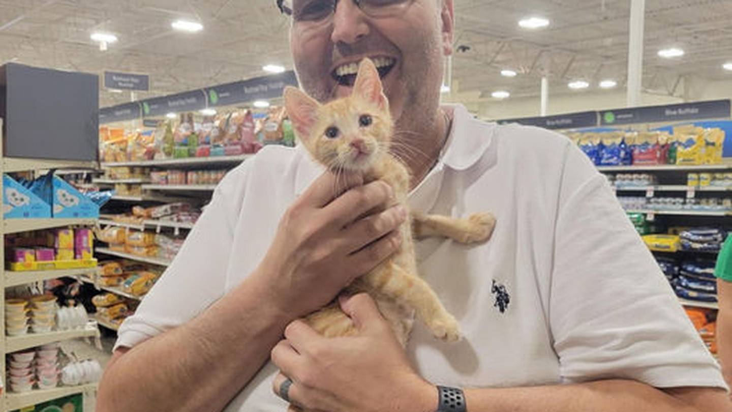 ARE Animal Rescue, Hemet, CA, Teams Up with 4th SoCal PetSmart, 1 Petco to  Increase Adoptions Through In-Store Catteries - The Hemet & San Jacinto  Chronicle