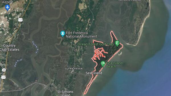 Glynn County Health Department says feral cat tests positive for rabies on Sea Island