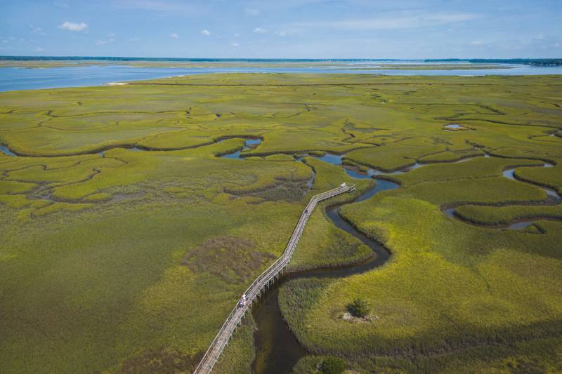 Getting lost on Amelia Island isn't such a bad idea. The island prides itself in preserving nature and its beauty.
