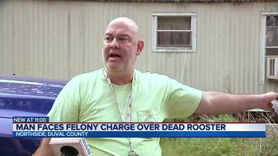 Jacksonville man arrested after police say he killed neighbor’s pet rooster