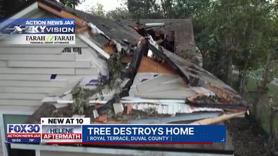 ‘Would’ve been gone:’ Local family lucky to be alive after tree crushes home