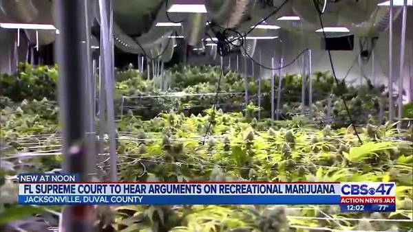 Florida Justices cast doubt on arguments against recreational marijuana ballot Initiative