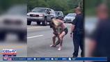 Video: Man wrangles gator on Jacksonville road