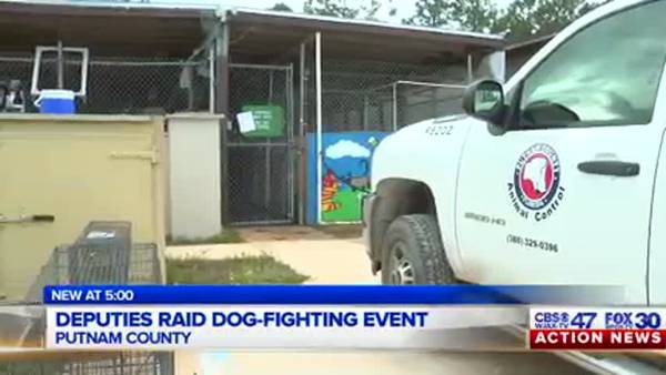 Deputies raid dog-fighting event