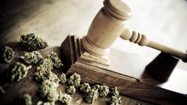 Florida Supreme Court to begin hearing arguments on recreational marijuana use