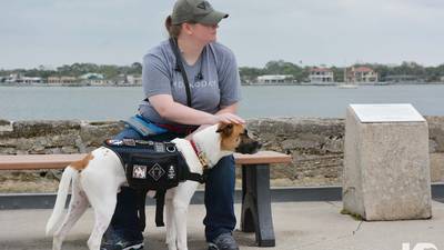 Jennifer and Eddie: A K9's for Warriors love story